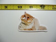 Sophisticated Cat Decal Sticker Feline Pet House