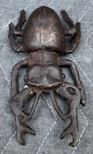 Unusual Old Cast Iron Crawling Beetle Bug Paperweight - Hollow Body