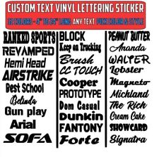 Custom Text Vinyl Lettering Sticker Decal Personalized -any Text - Any Name - 2