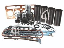 Rebuild Kit Fits For Perkins D4.203 Engine Massey Ferguson 65 165 3165 3024